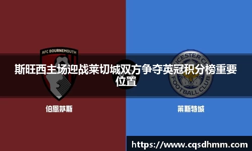 斯旺西主场迎战莱切城双方争夺英冠积分榜重要位置